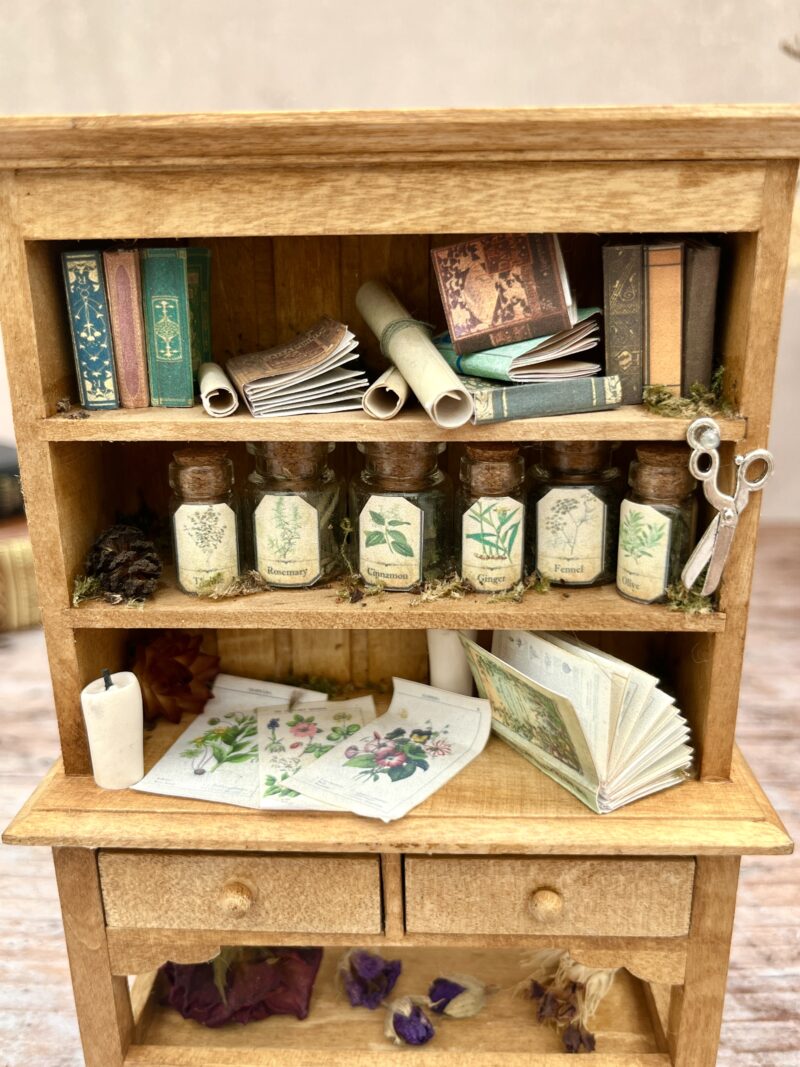 L'Atelier des plantes - Curiosité miniature