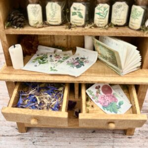 L'Atelier des plantes - Curiosité miniature
