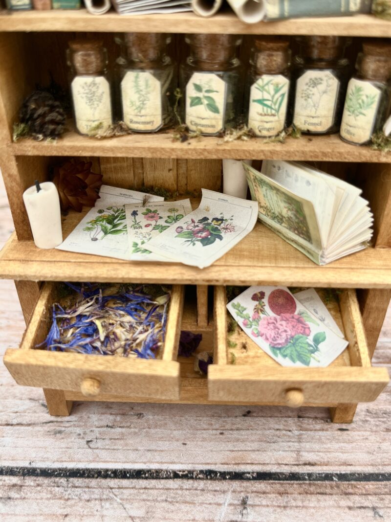L'Atelier des plantes - Curiosité miniature