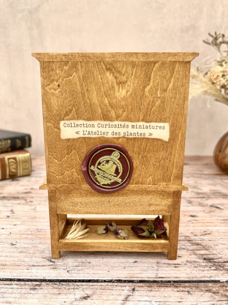 L'Atelier des plantes - Curiosité miniature