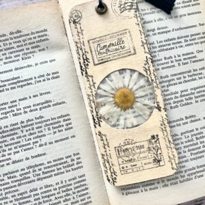 Marque-page Camomille - Collection botanique