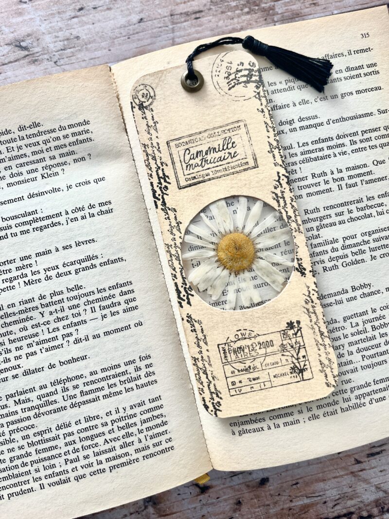 Marque-page Camomille - Collection botanique