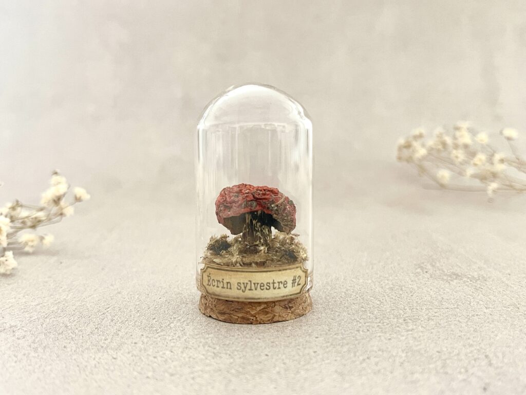 Sporée écarlate - Fiole miniature