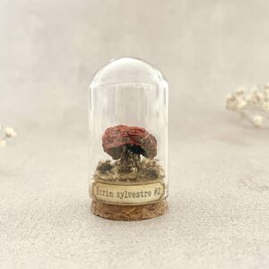 Sporée écarlate - Fiole miniature