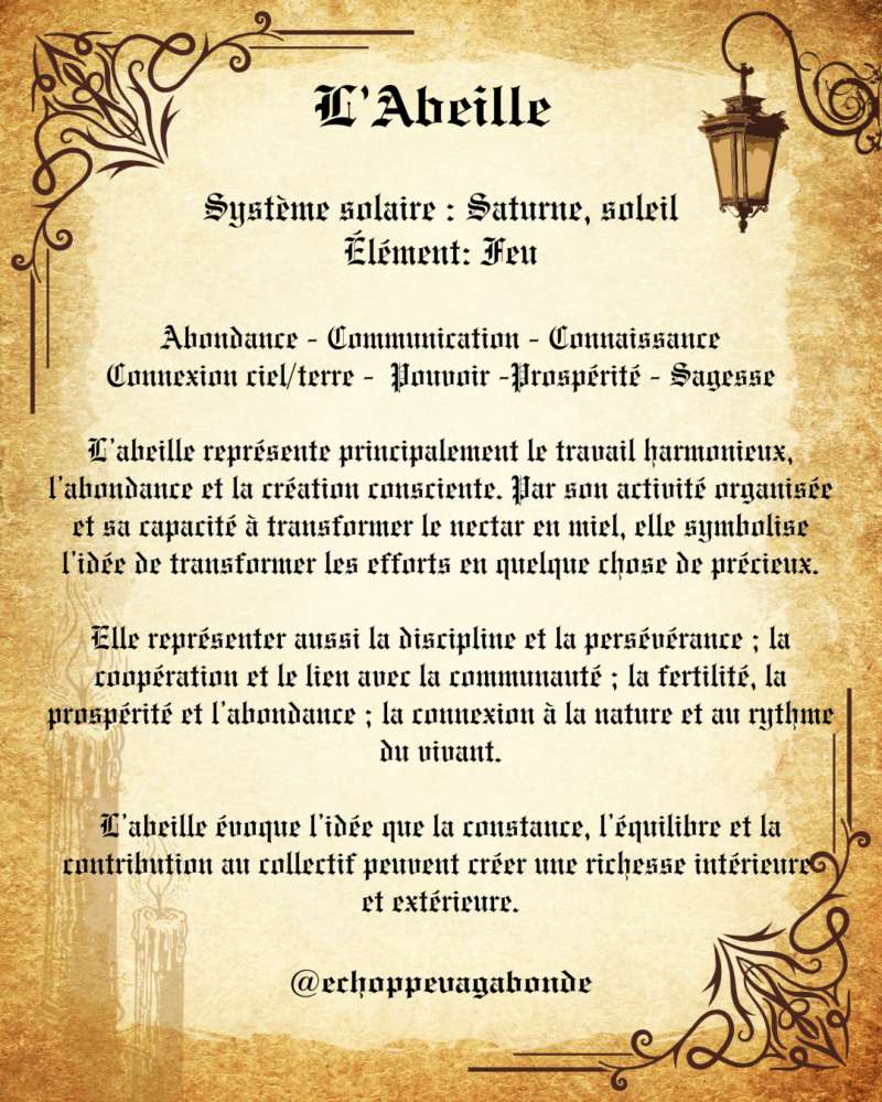 Cadre entomologique " Abeille " - Spécimen n°2