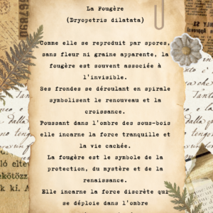 Boucles d'oreilles - "Éclat de fougère" - Collection Herbier figé