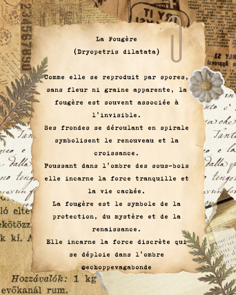 Boucles d'oreilles - "Éclat de fougère" - Collection Herbier figé