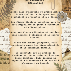 Bague "Clématite du vent" - Collection Herbier figé