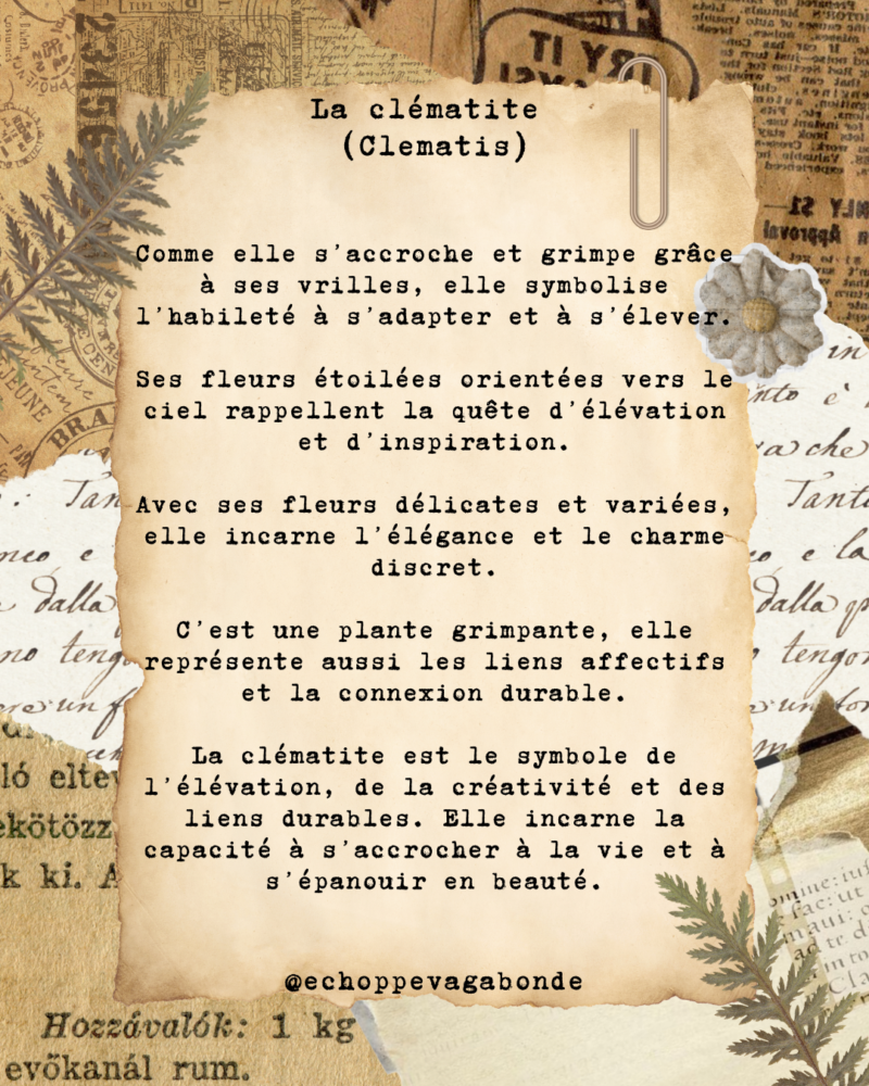 Bague "Clématite du vent" - Collection Herbier figé