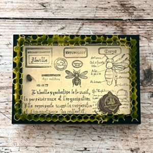 Cadre entomologique " Abeille " - Spécimen n°2