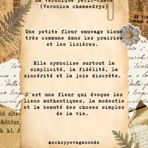 Boucles d'oreilles " Balade de Véronica " - Collection Herbier figé