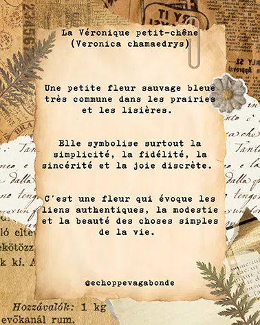 Boucles d'oreilles " Balade de Véronica " - Collection Herbier figé